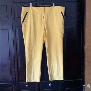 NY&Co gold pants with black trim - never worn